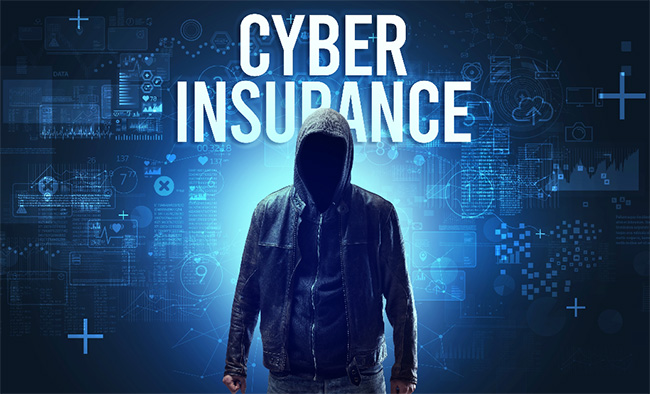 Cyber Insurance cover